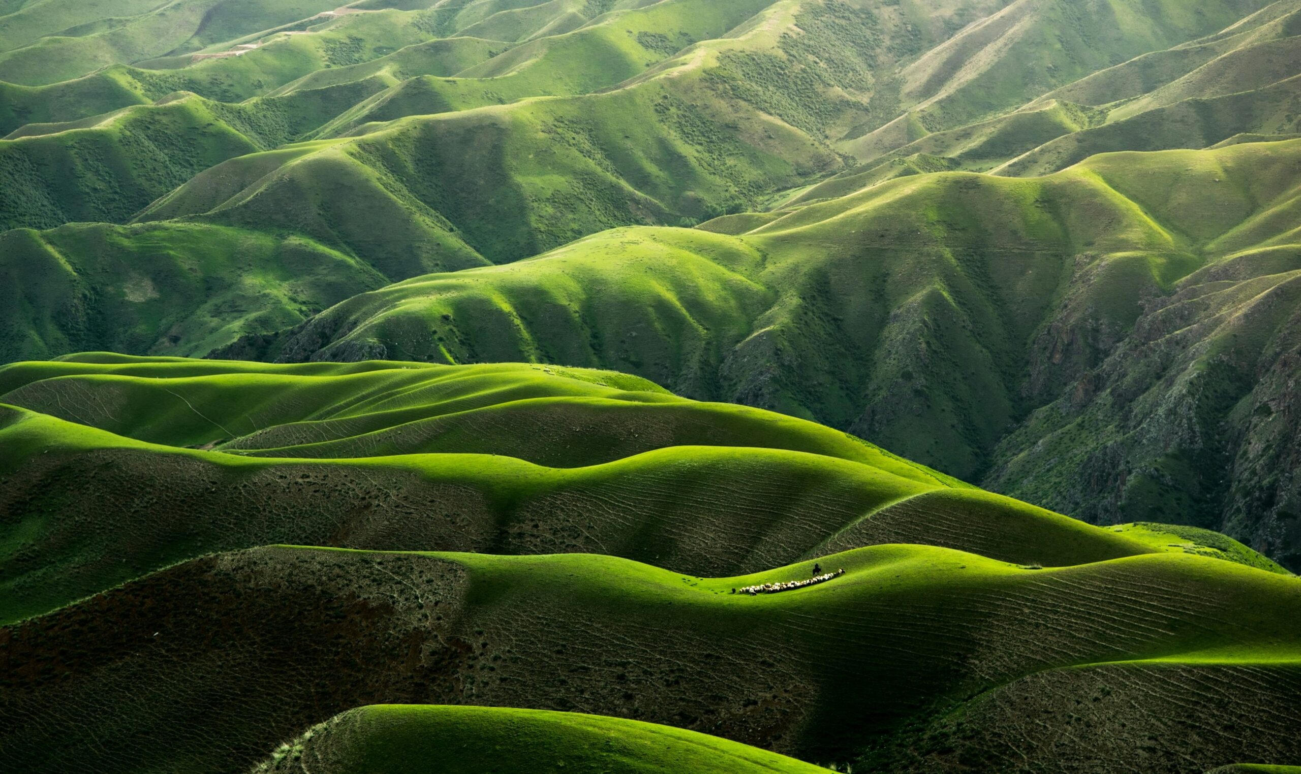 Immagine in evidenza di Hello World